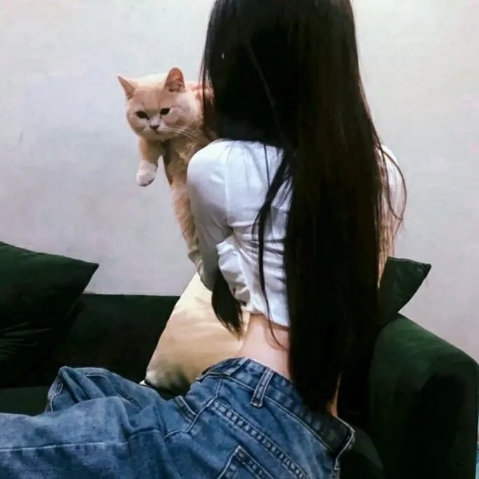 臭皮匠发财梦